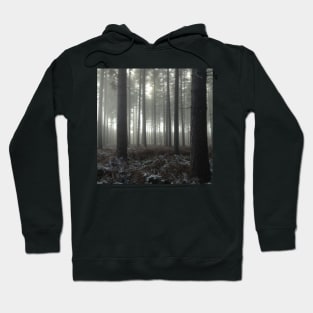 Sherwood Forest Hoodie